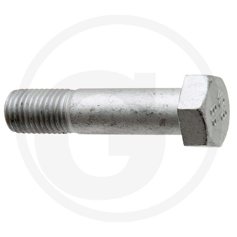Schraube 5ls55x25-10